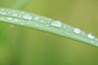 堡垒一哥想给《任天堂大乱斗》捐50万刀 却遭任天堂拉黑